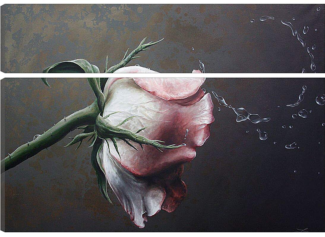 Модульная картина - Роза и капли воды