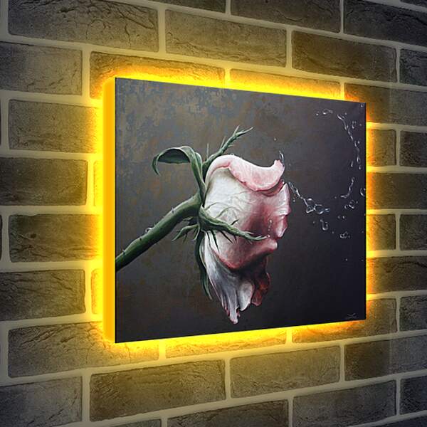 Лайтбокс световая панель - Роза и капли воды
