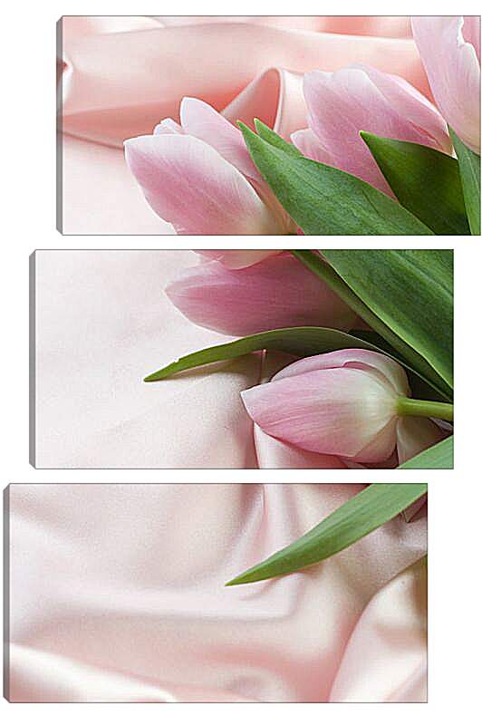 Модульная картина - Розовые тюльпаны