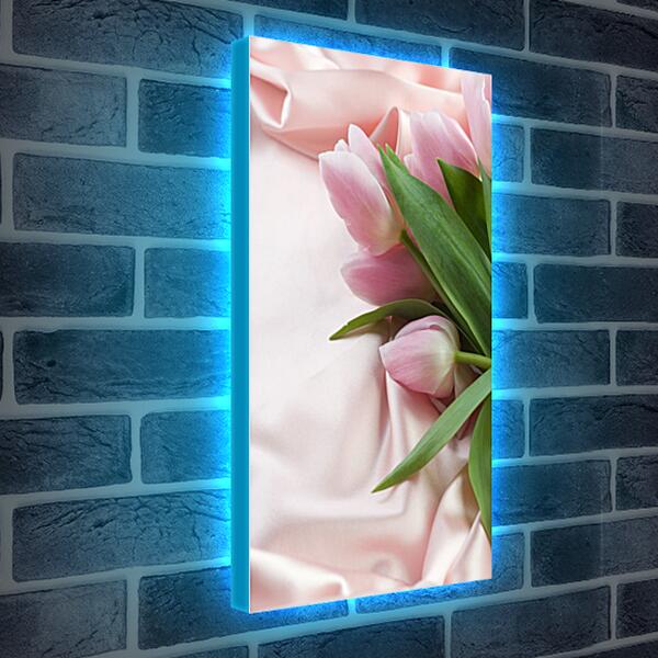 Лайтбокс световая панель - Розовые тюльпаны
