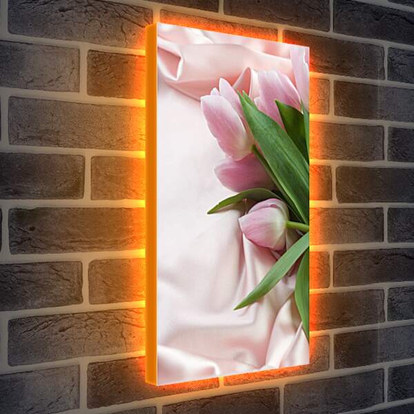 Лайтбокс световая панель - Розовые тюльпаны