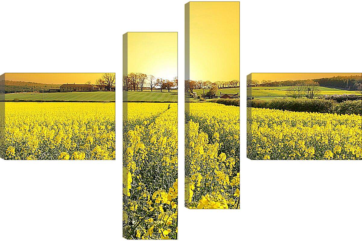 Модульная картина - Поле желтых цветов