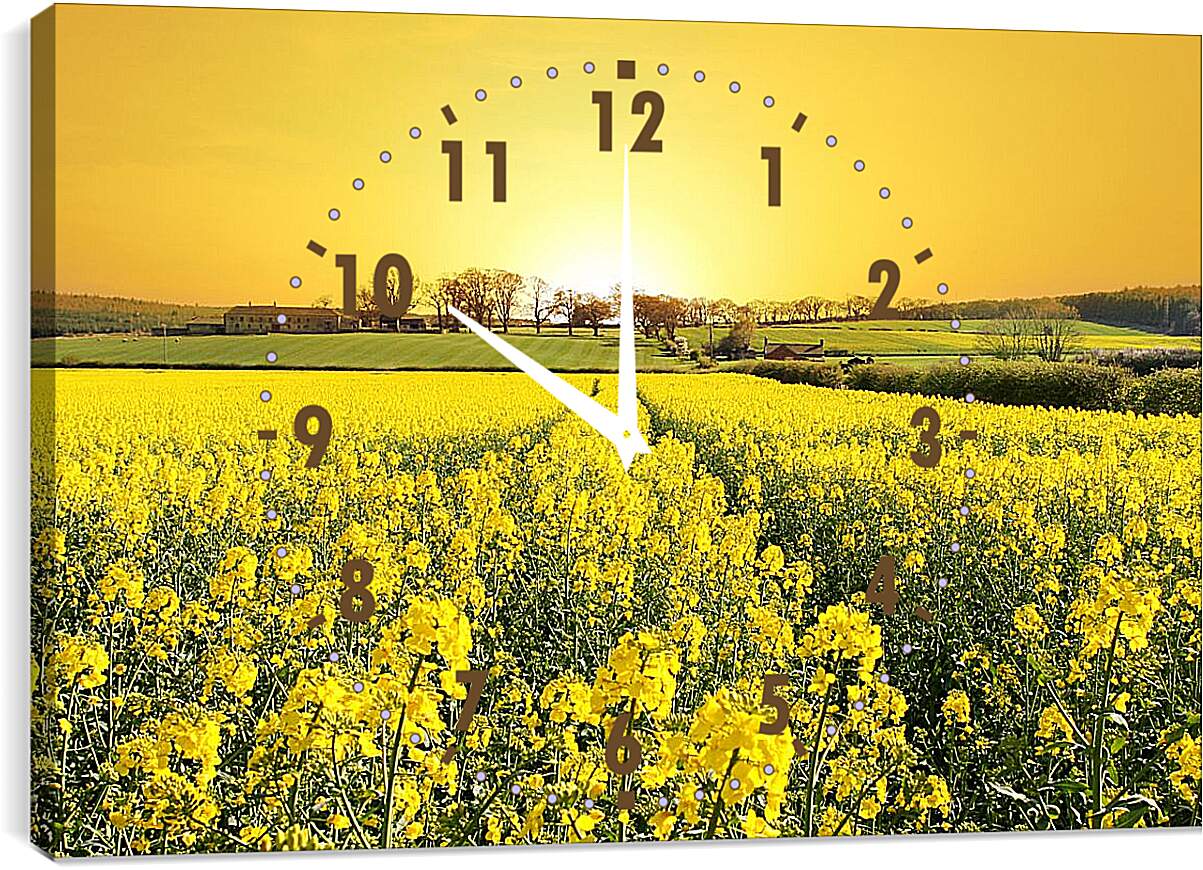 Часы картина - Поле желтых цветов