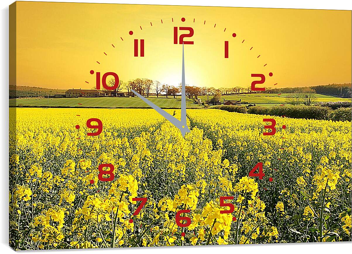 Часы картина - Поле желтых цветов