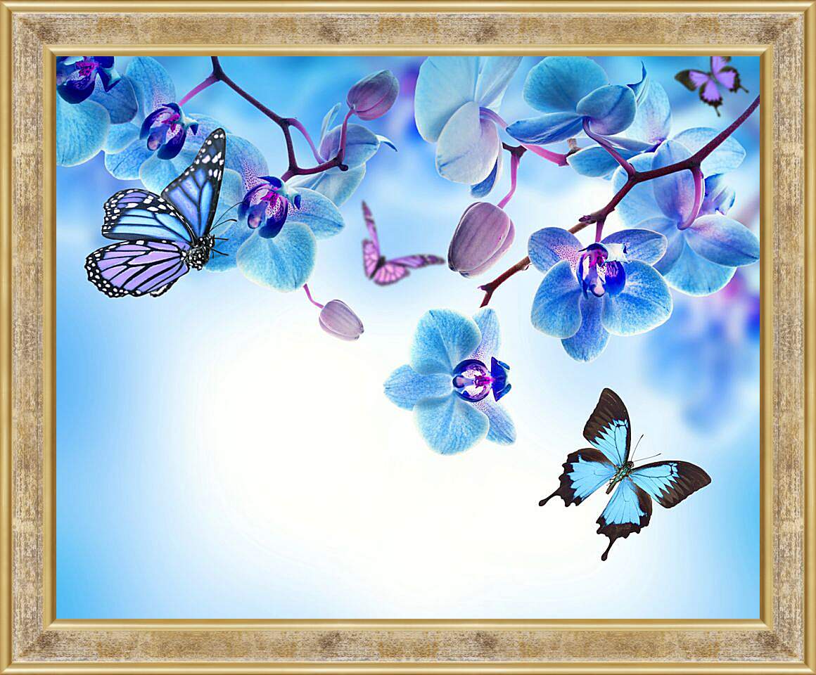 Картина в раме - Бабочки и голубые орхидеи