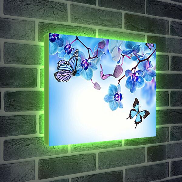 Лайтбокс световая панель - Бабочки и голубые орхидеи