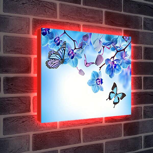 Лайтбокс световая панель - Бабочки и голубые орхидеи