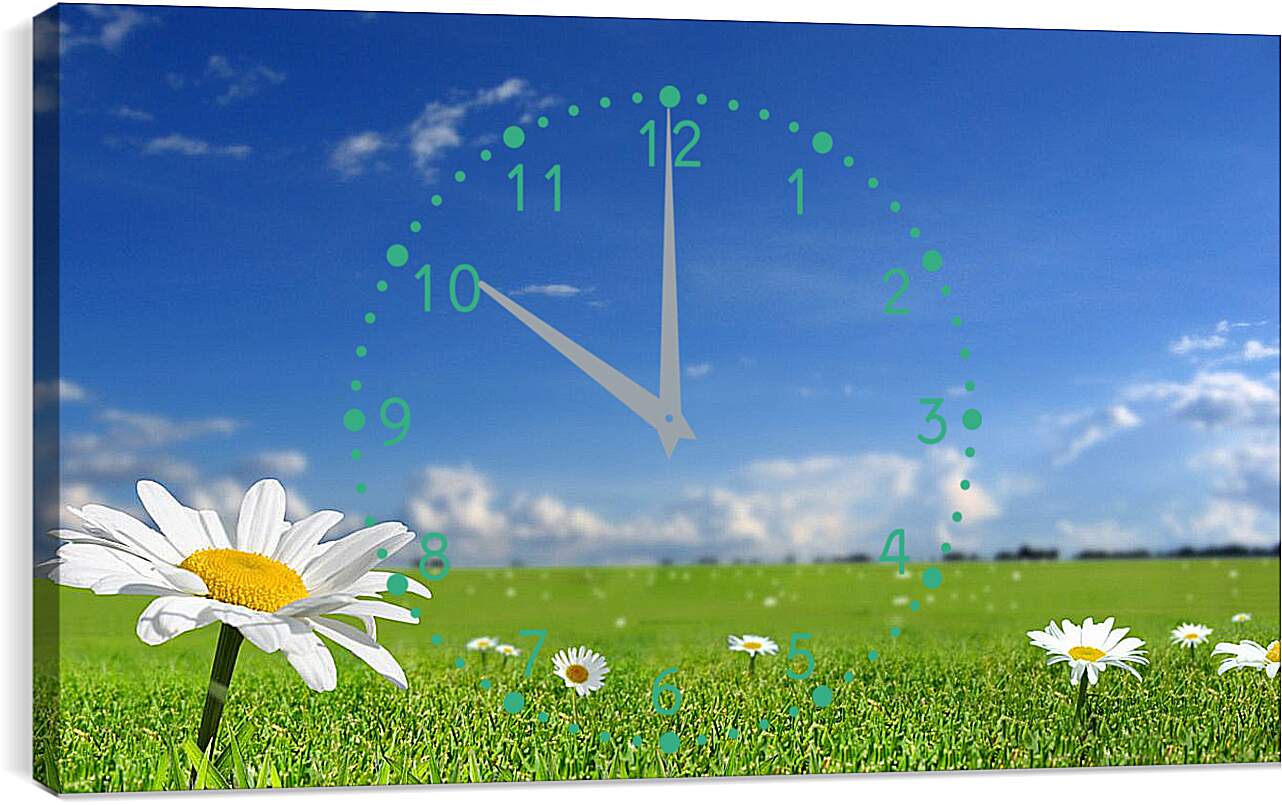 Часы картина - Ромашки на поле