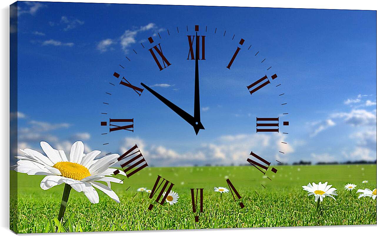 Часы картина - Ромашки на поле