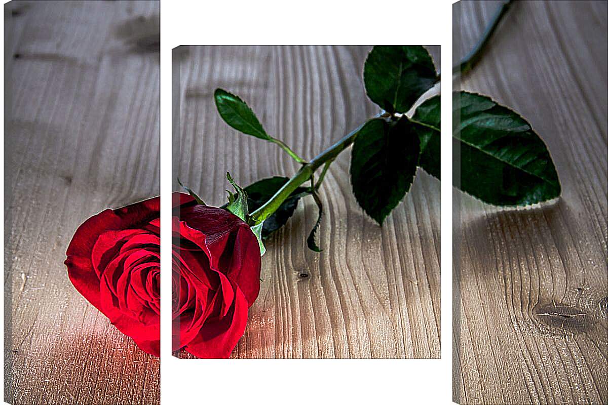 Модульная картина - Одна роза