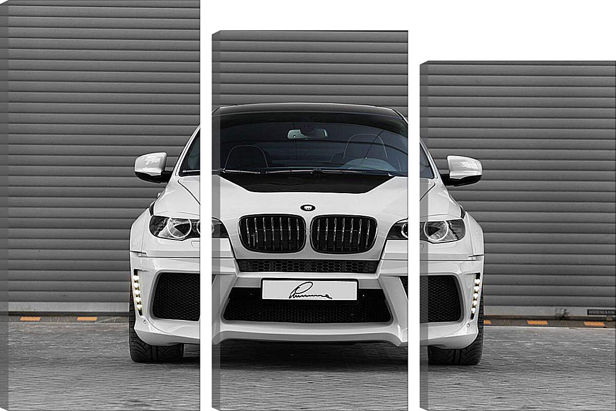 Модульная картина - BMW X6