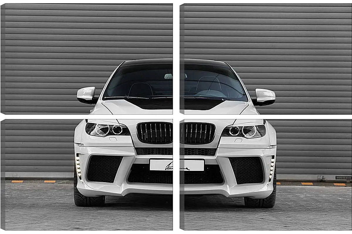 Модульная картина - BMW X6