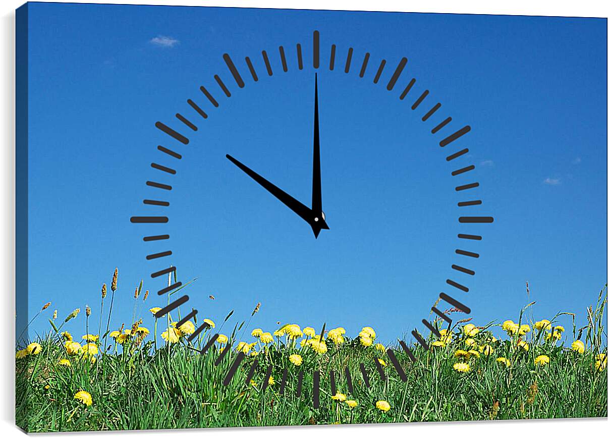 Часы картина - Ромашковое поле