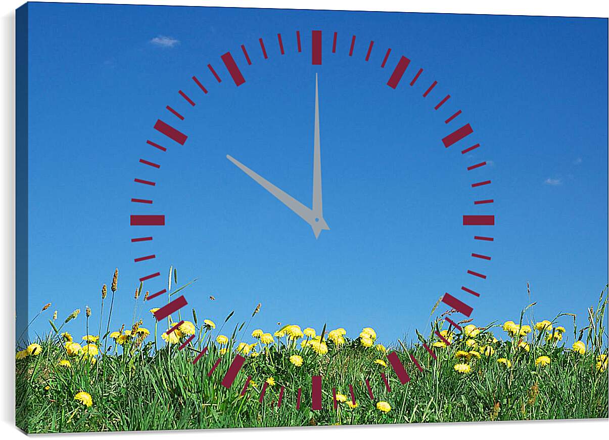 Часы картина - Ромашковое поле