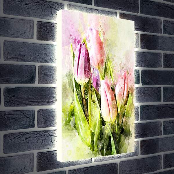 Лайтбокс световая панель - Тюльпаны арт