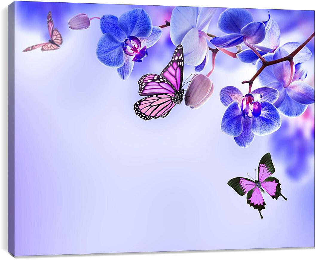 Постер и плакат - Бабочки и синие орхидеи