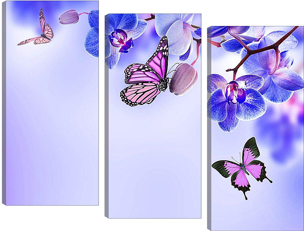 Модульная картина - Бабочки и синие орхидеи