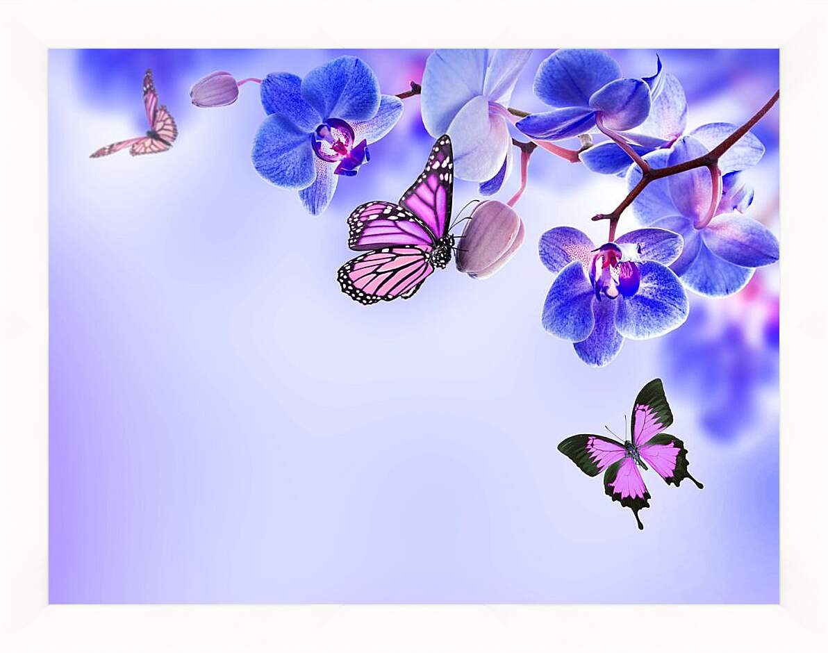Картина в раме - Бабочки и синие орхидеи