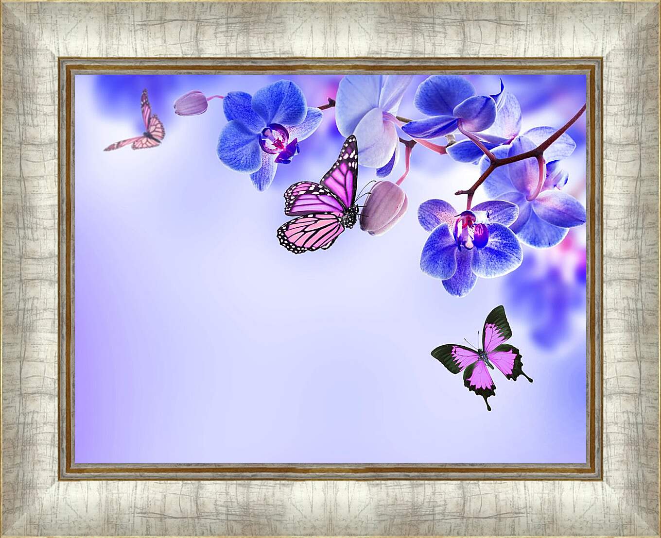 Картина в раме - Бабочки и синие орхидеи