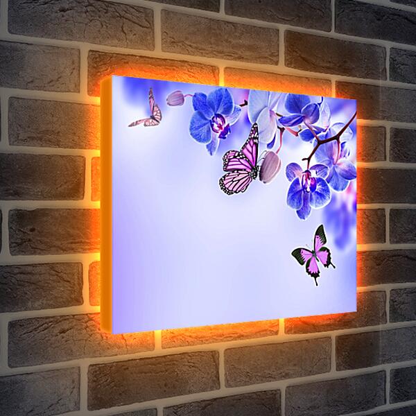 Лайтбокс световая панель - Бабочки и синие орхидеи