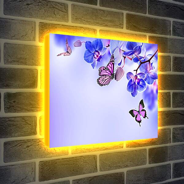 Лайтбокс световая панель - Бабочки и синие орхидеи