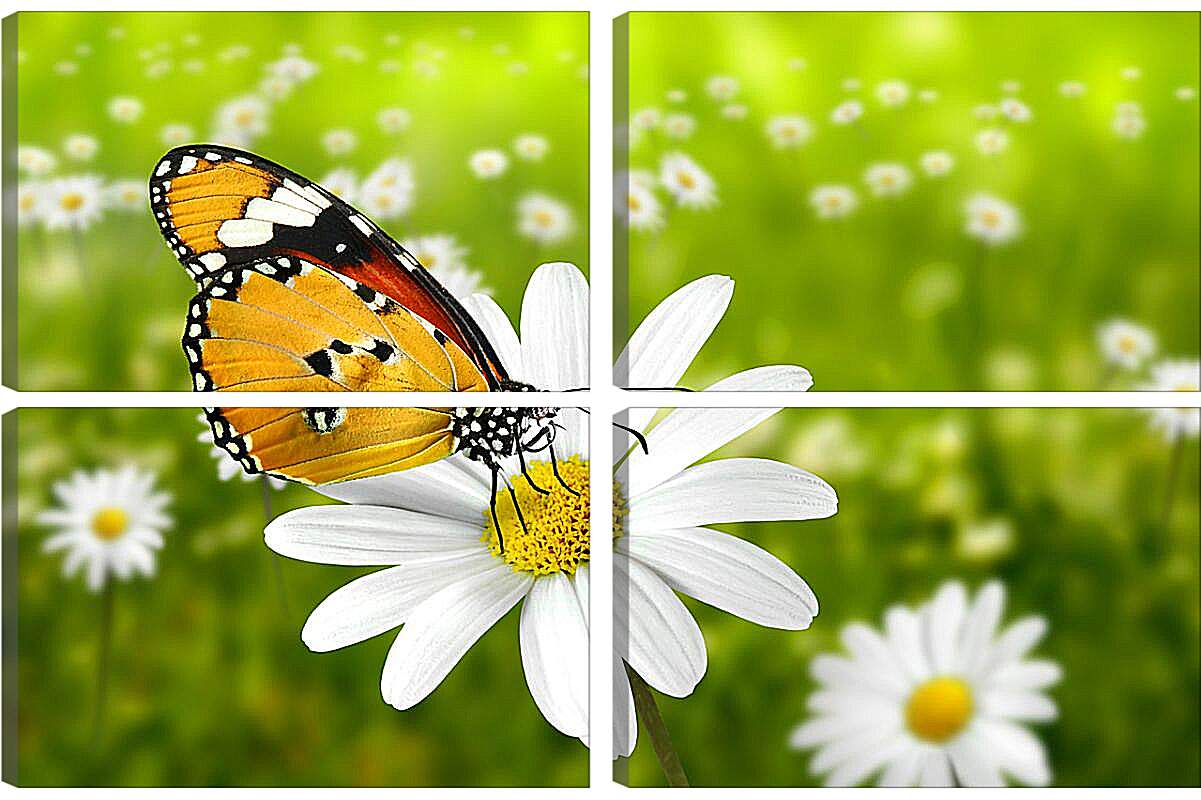 Модульная картина - Бабочка на ромашке
