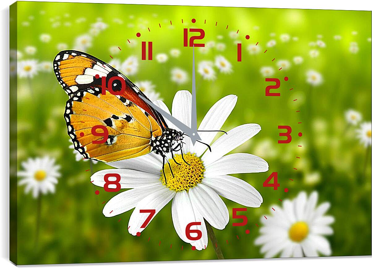 Часы картина - Бабочка на ромашке