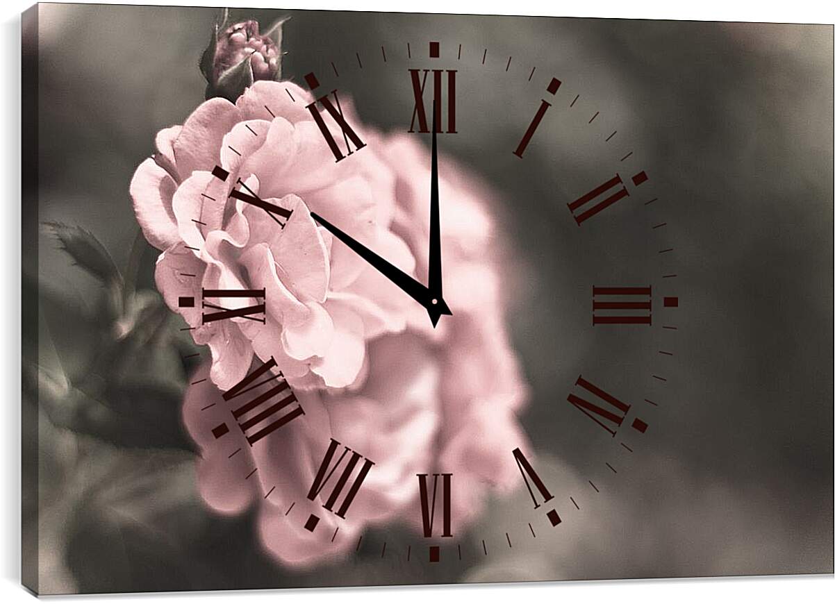 Часы картина - Нежно-розовая роза