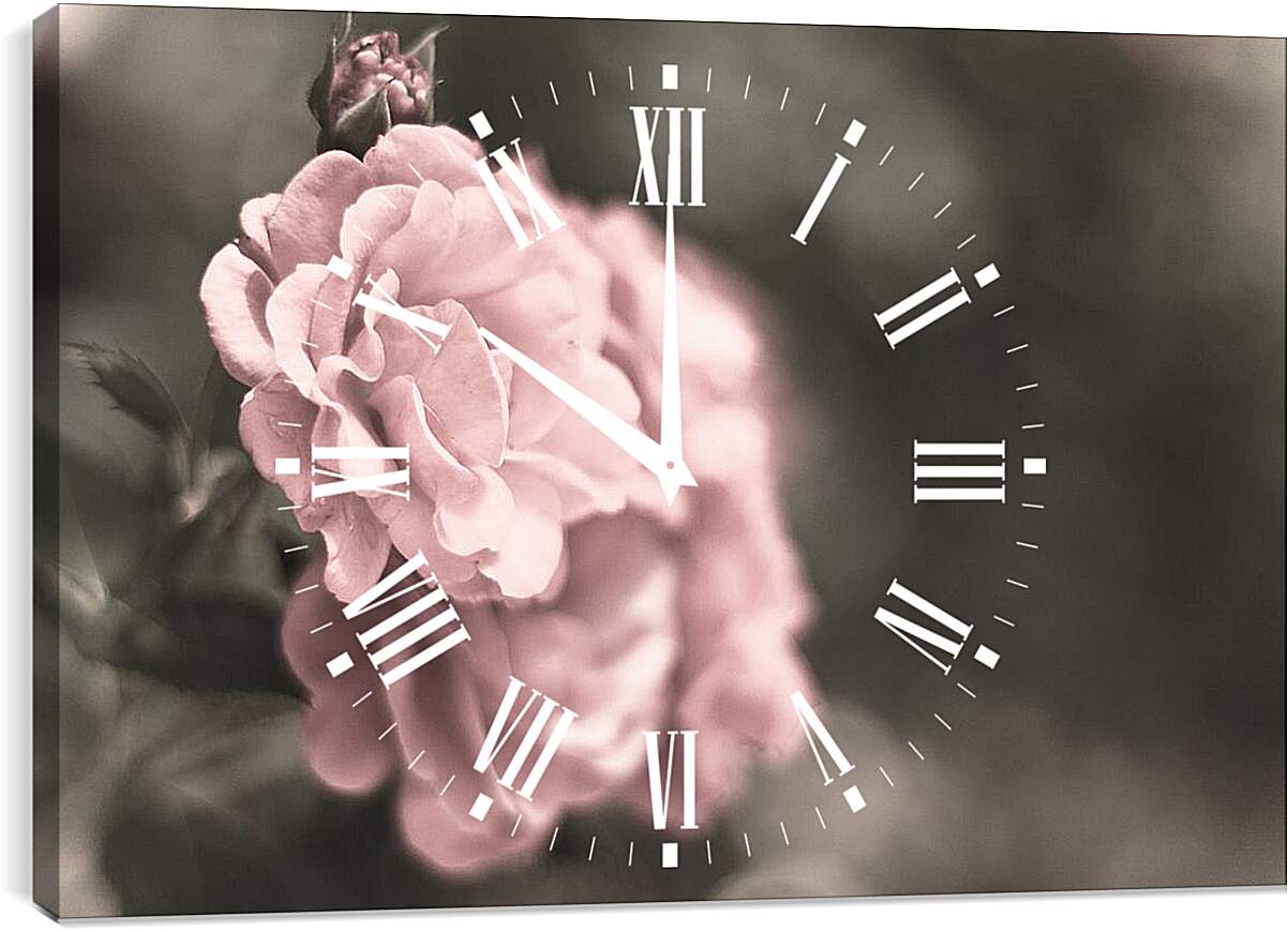 Часы картина - Нежно-розовая роза