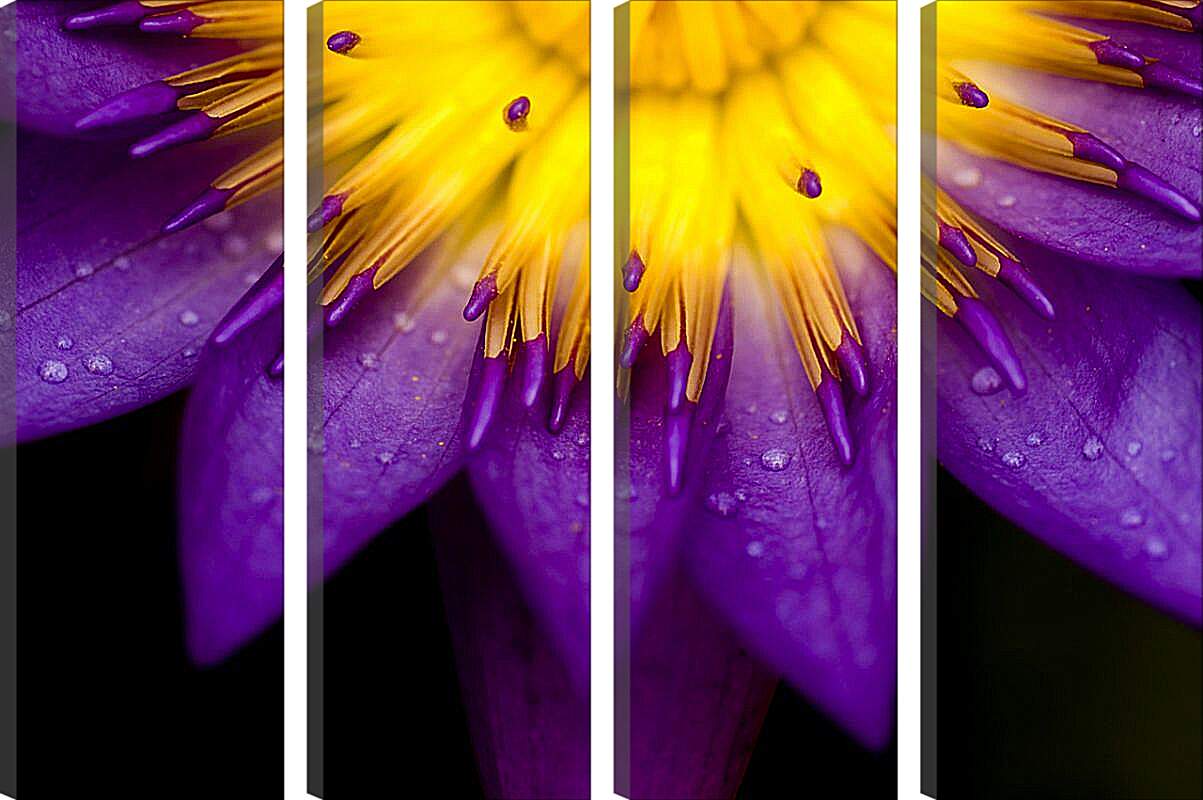Модульная картина - Водяная лилия Жёлто-фиолетовый цветок