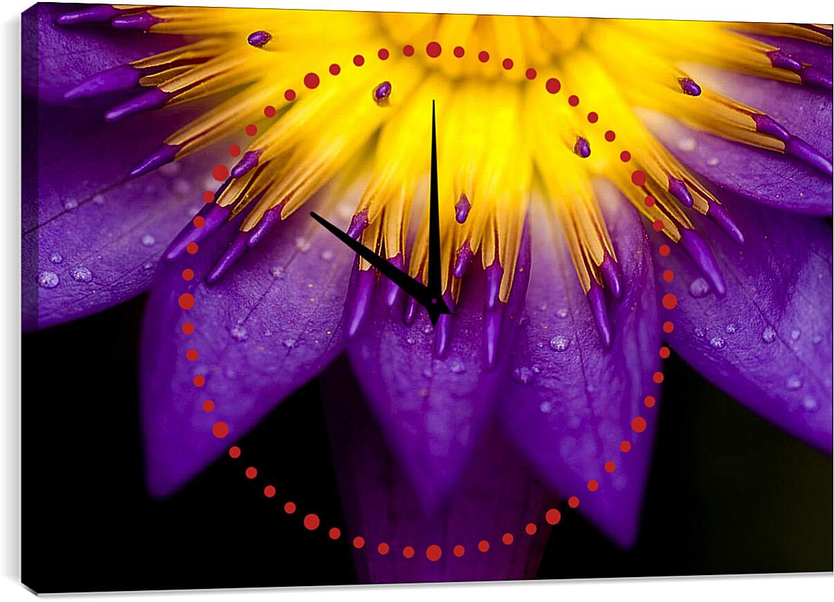 Часы картина - Водяная лилия Жёлто-фиолетовый цветок