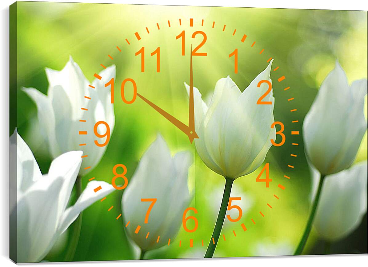 Часы картина - Белые тюльпаны
