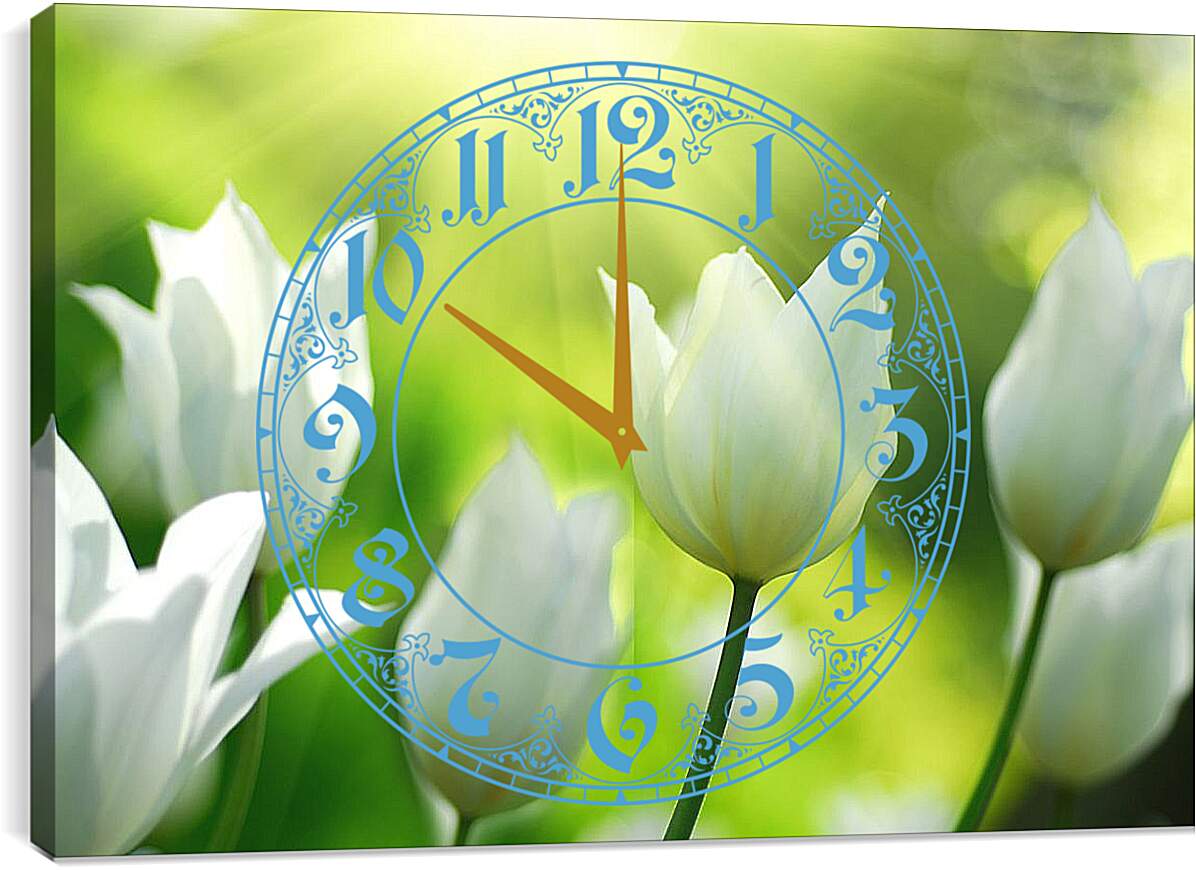 Часы картина - Белые тюльпаны