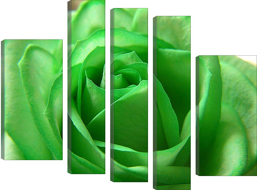 Модульная картина - Зеленая роза