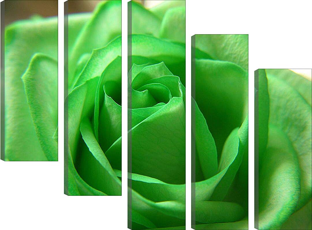 Красные розы через зеленое стекло. Лучшие карточки для ВБ зеленый розовый черный. Серо розовая с зеленым картина купить.