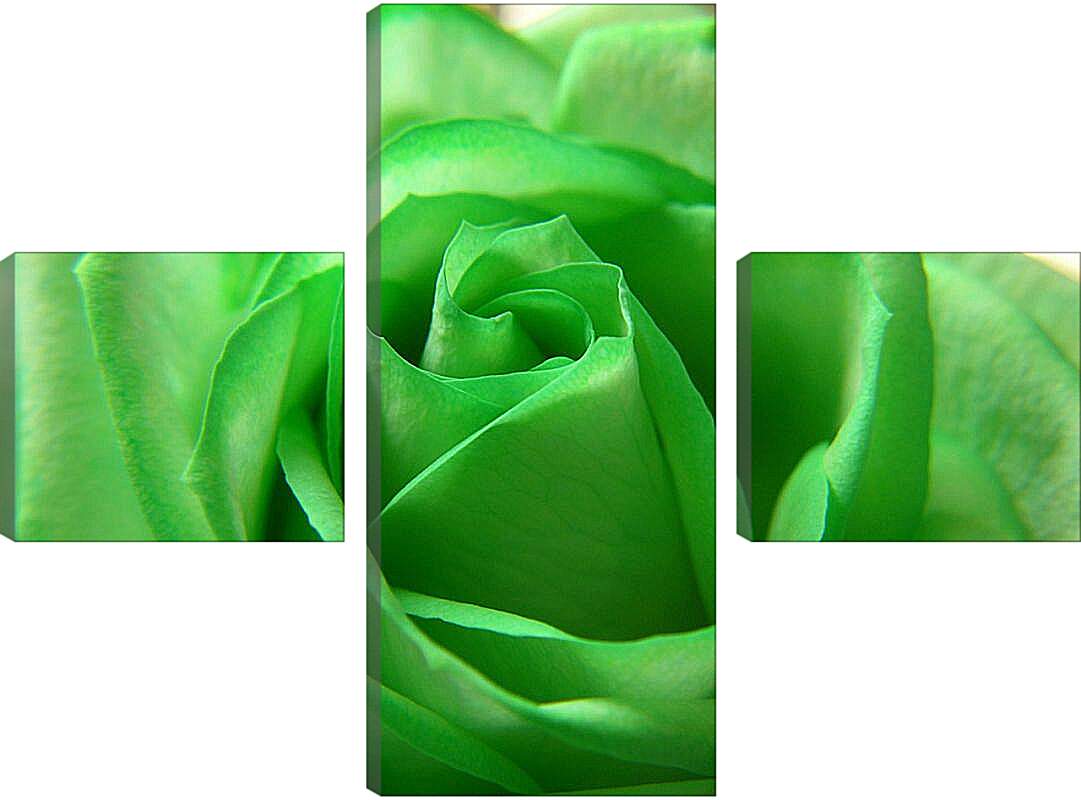 Модульная картина - Зеленая роза
