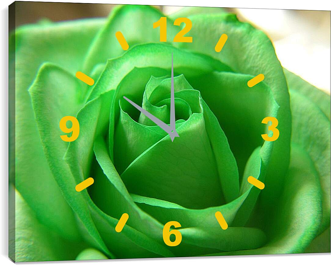 Часы картина - Зеленая роза