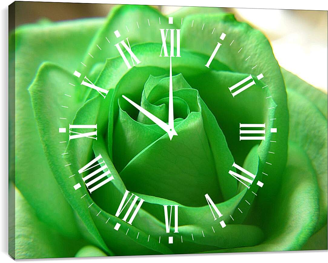 Часы картина - Зеленая роза