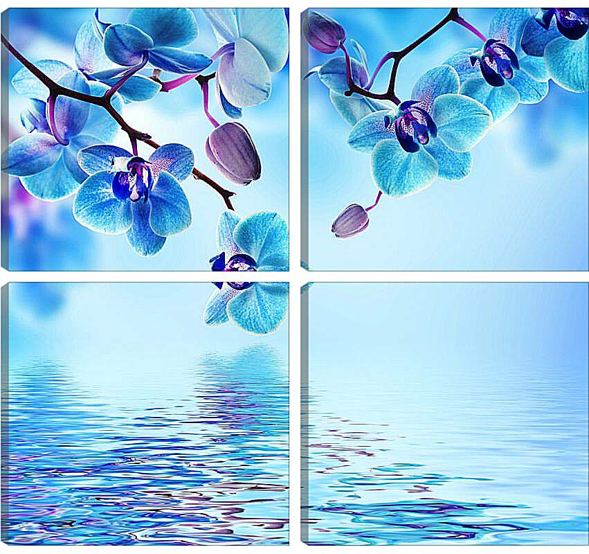 Модульная картина - Голубая орхидея над водой
