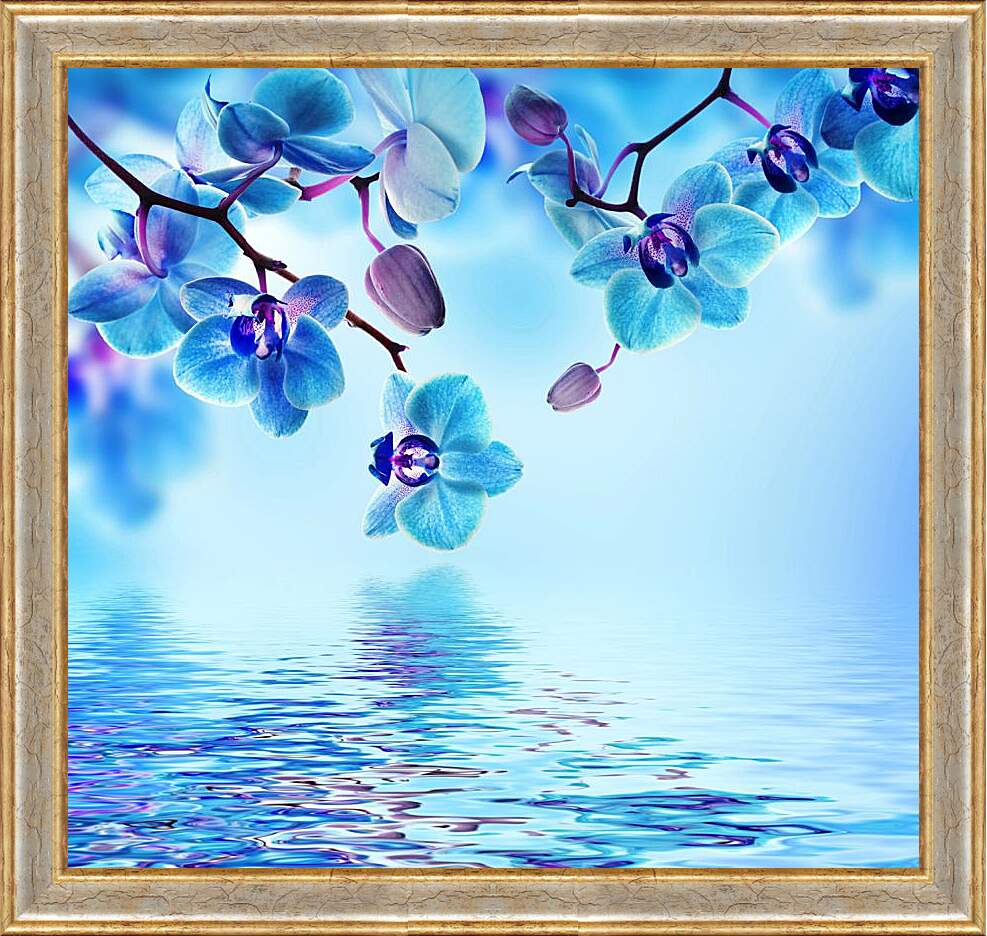 Картина в раме - Голубая орхидея над водой