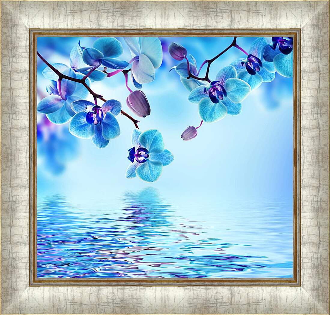 Картина в раме - Голубая орхидея над водой