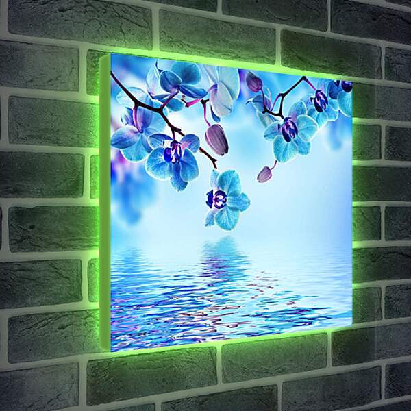 Лайтбокс световая панель - Голубая орхидея над водой