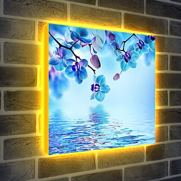 Лайтбокс световая панель - Голубая орхидея над водой