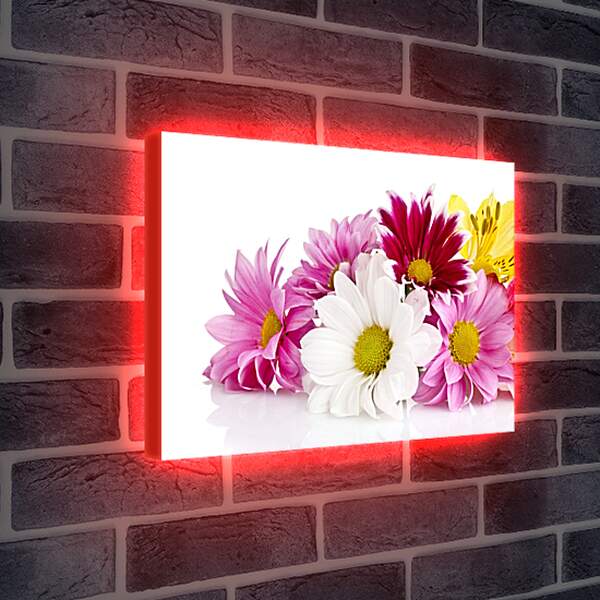 Лайтбокс световая панель - Букет цветов