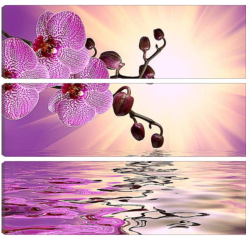 Модульная картина - Розовая орхидея над водой