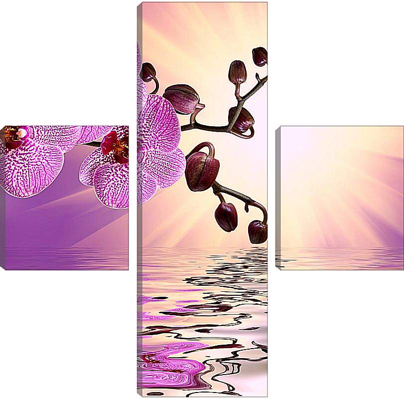 Модульная картина - Розовая орхидея над водой