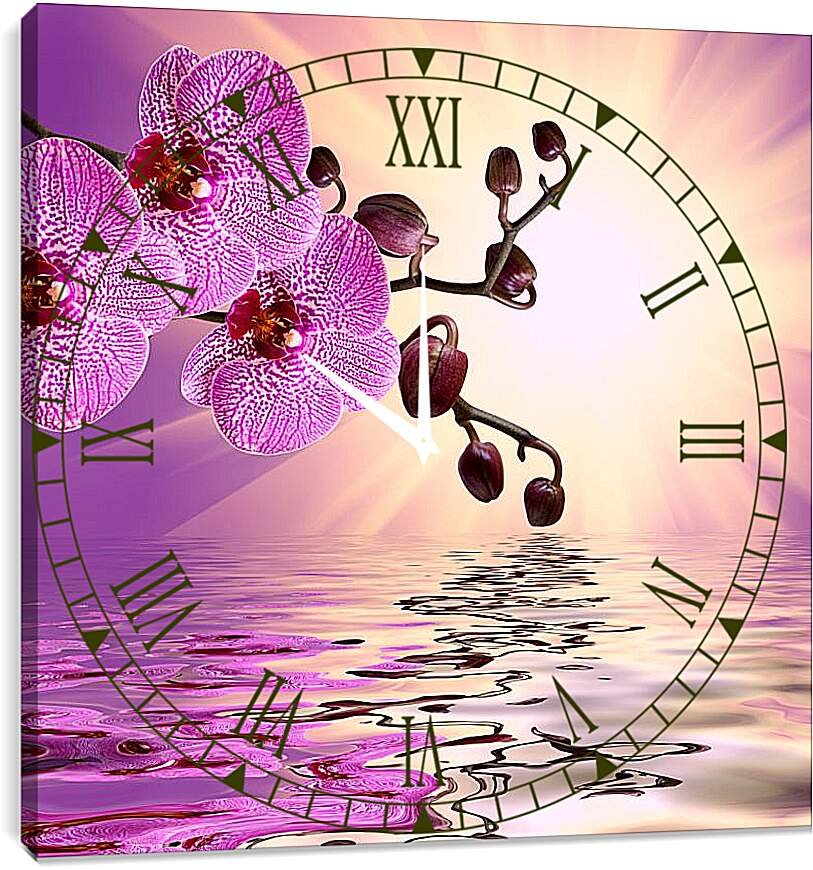 Часы картина - Розовая орхидея над водой