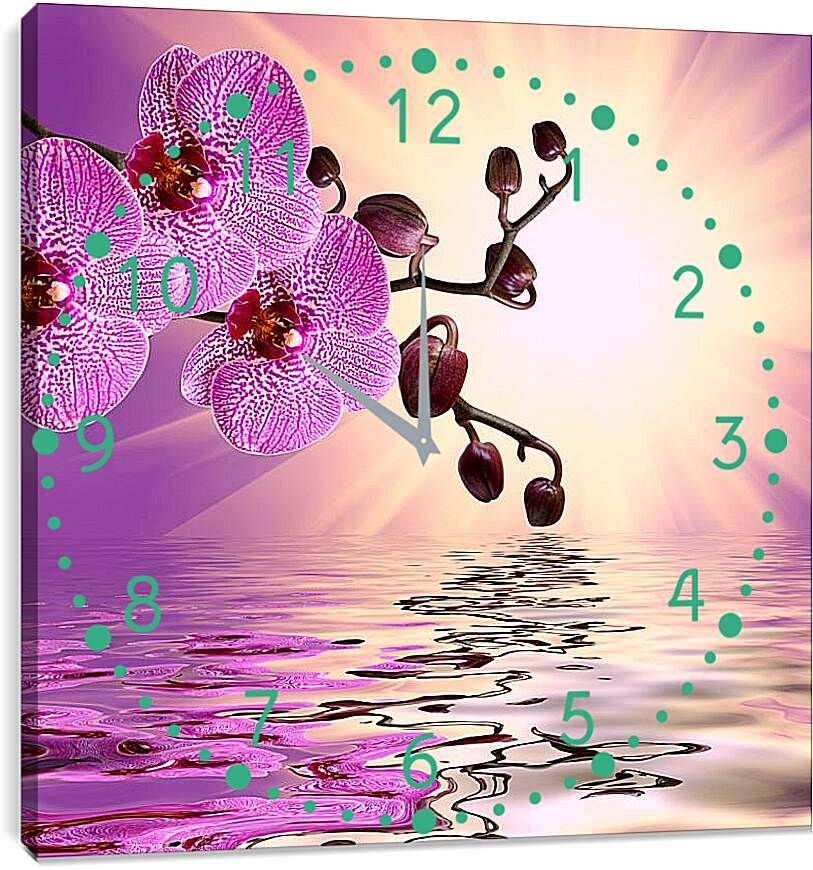 Часы картина - Розовая орхидея над водой