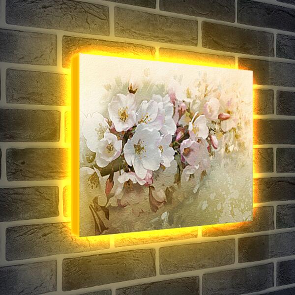 Лайтбокс световая панель - Вишня в цвету