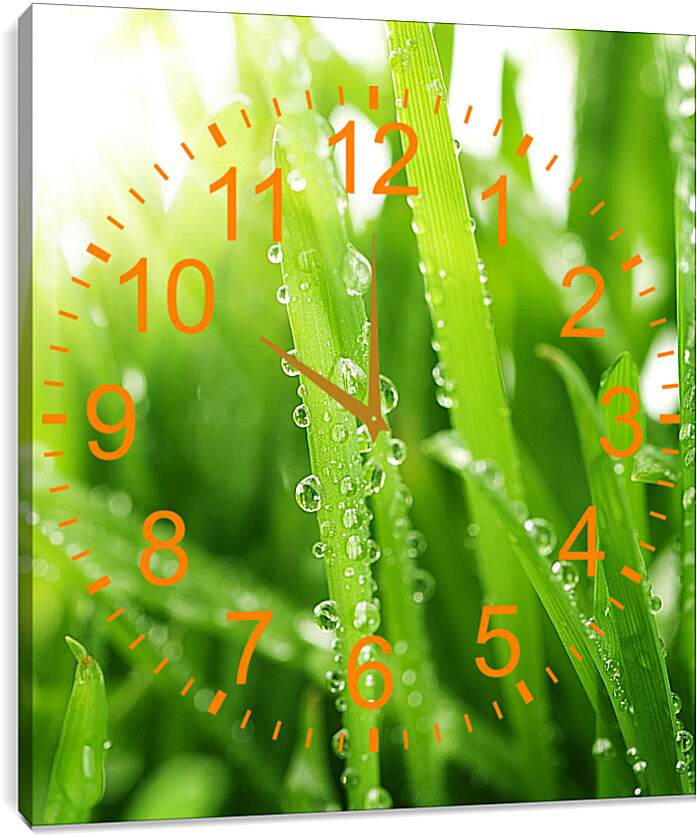 Часы картина - Капельки росы на траве